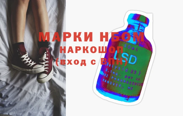 шишки Белокуриха