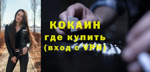 шишки Белокуриха