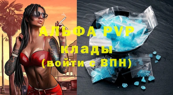 прущие грибы Беломорск