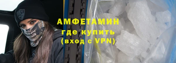 шишки Белокуриха