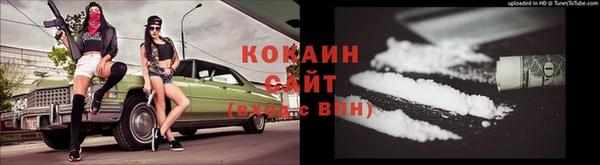 сатива Белоозёрский