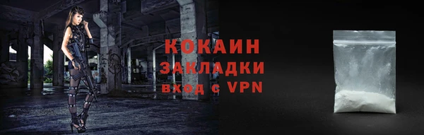 шишки Белокуриха