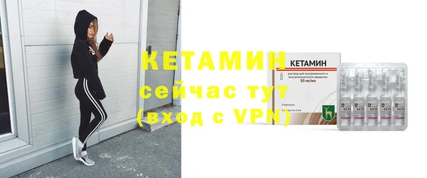 шишки Белокуриха