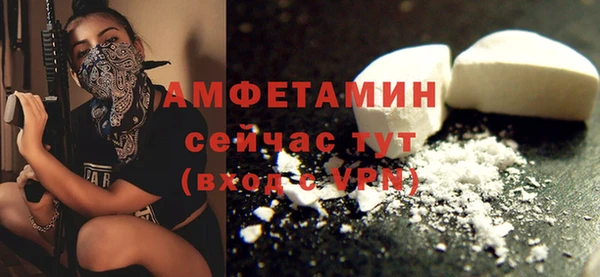 шишки Белокуриха