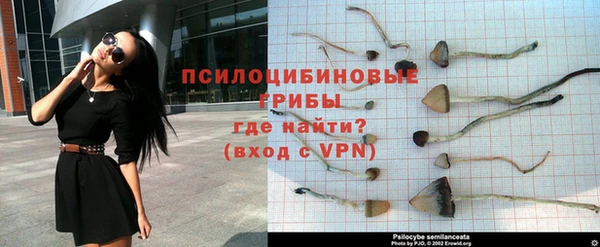 сатива Белоозёрский