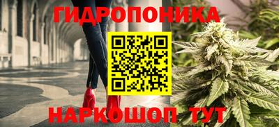 СК Аргун